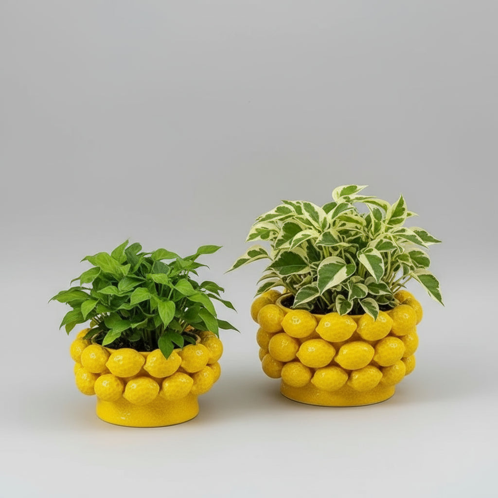 Two yellow lemon-shaped planters with green plants on a white surface.