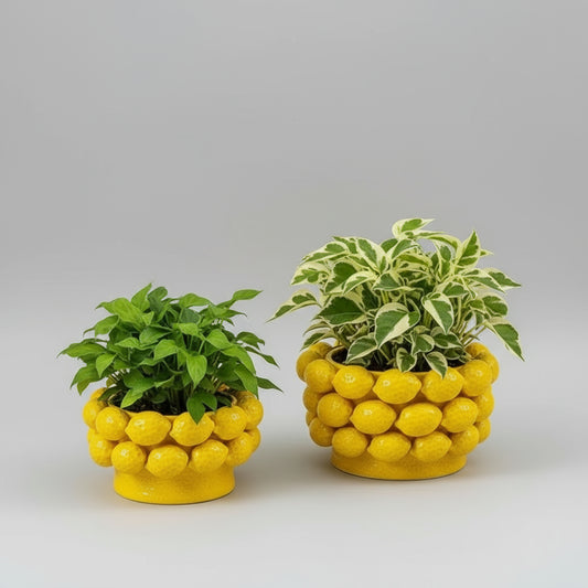 Two yellow lemon-shaped planters with green plants on a white surface.