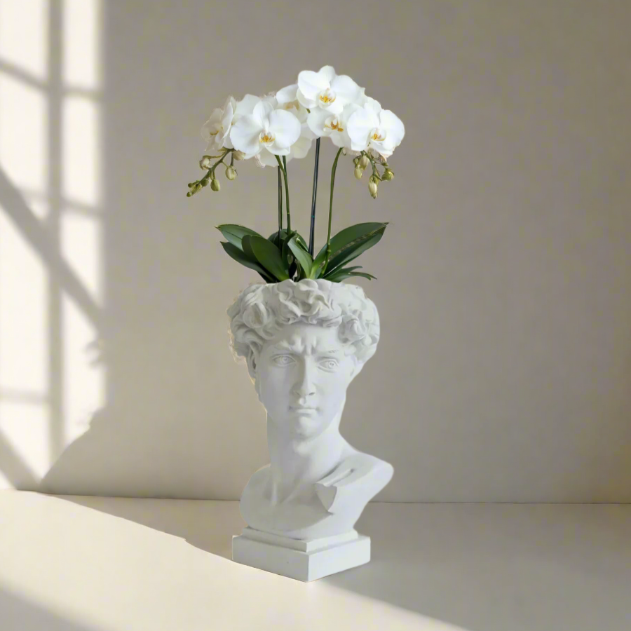 White orchid in a sculpture of a DAVID bust on a neutral background