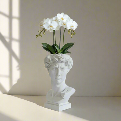 White orchid in a sculpture of a DAVID bust on a neutral background
